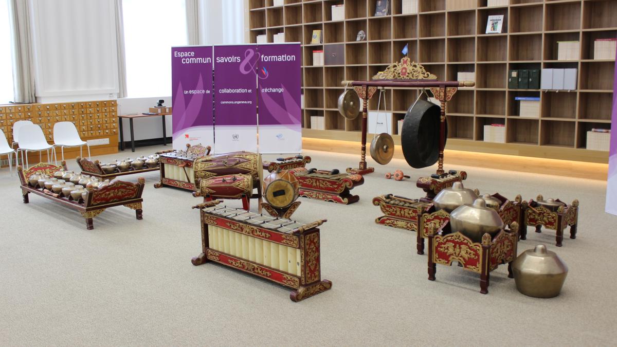 Picture of Indonesian instruments