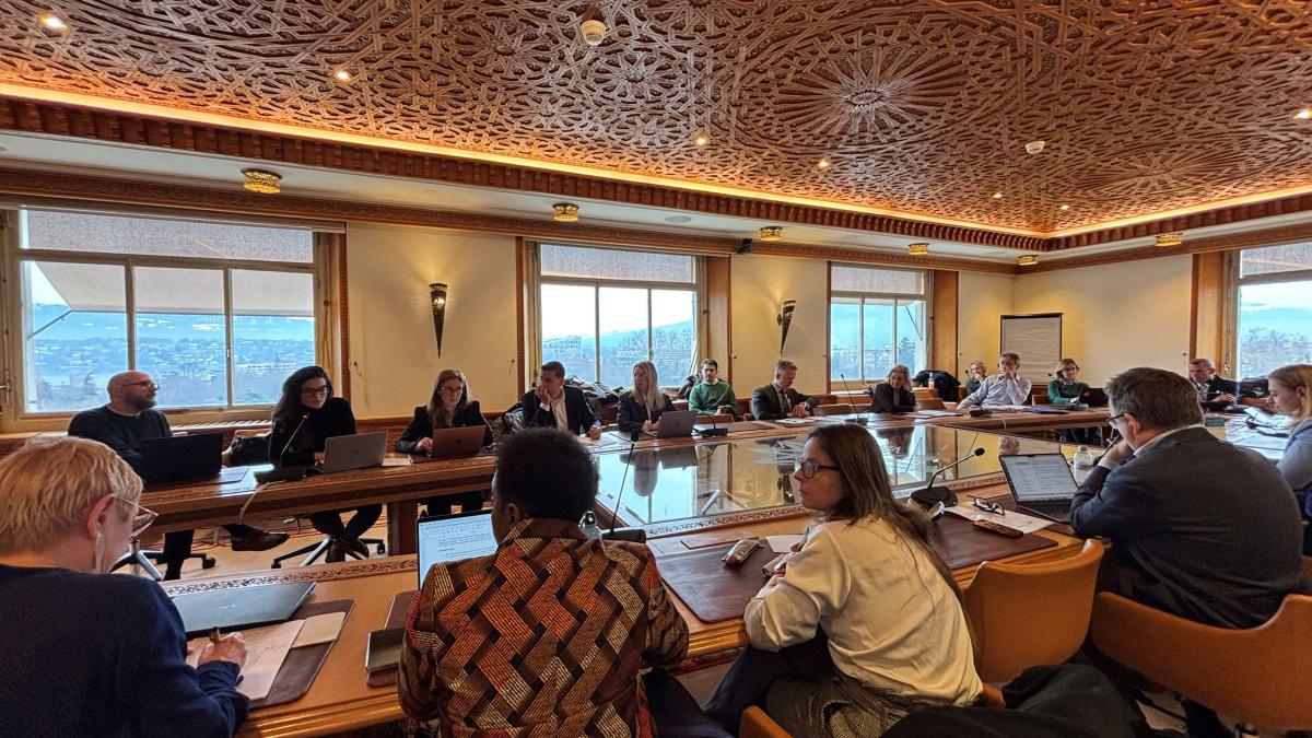 Participants and expert speakers participate in the roundtable discussion, held at the Palais des Nations.