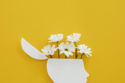 Picture of flowers coming out of a cardboard brain